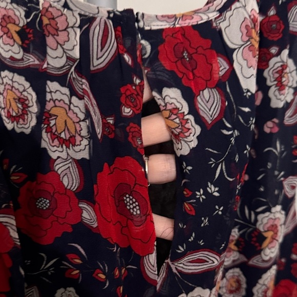 Greylin Navy and Red Floral Silk Mini Dress - Picture 9 of 13